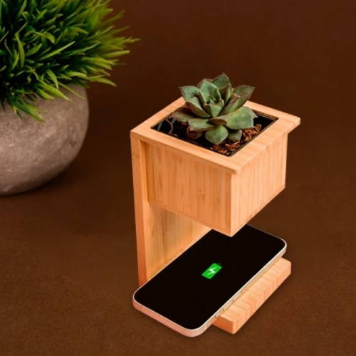 Alder Wireless Charger with Planter