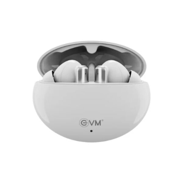 EnBuds ANC True Wireless Earbuds