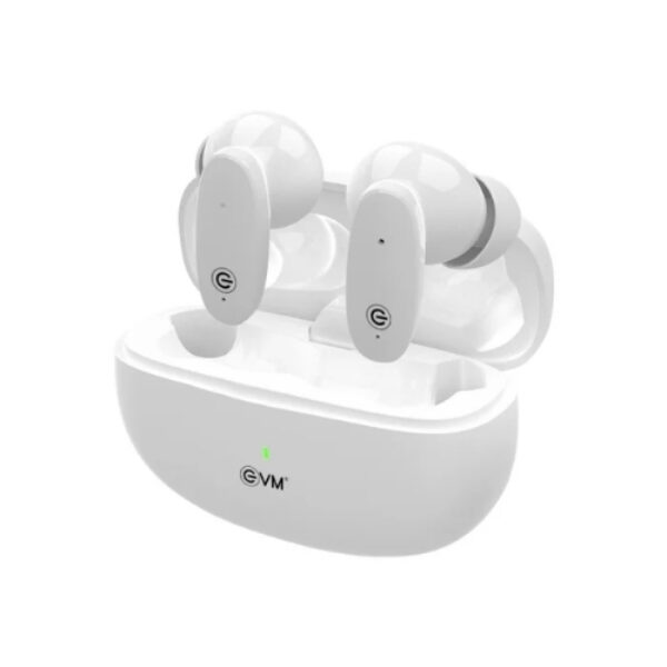 EnBuds Pro True Wireless Earbuds